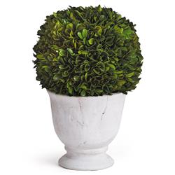 Landon French Country Green Boxwood Ball Potted Topiary - Large