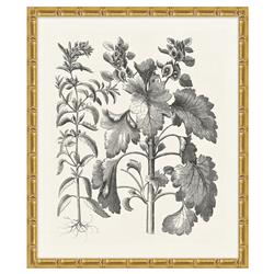Amanda French Country Black Floral &amp; Botanical Gold Frame Illustration 9
