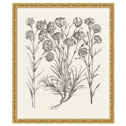 Amanda French Country Black Floral &amp; Botanical Gold Frame Illustration 13