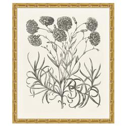 Amanda French Country Black Floral &amp; Botanical Gold Frame Illustration 14