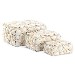 Lupis Coastal Beach Natural White Shell Decorative Boxes - Set of 3