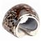 Olivia Coastal Beach Brown Shell Napkin Ring - Set of 4|Kathy Kuo Home
