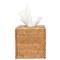 Pigeon and Poodle Dalton Coastal Beach Brown Rattan Tissue Box|Kathy Kuo Home