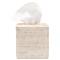 Pigeon and Poodle Dalton Coastal Beach Whitewash Rattan Tissue Box|Kathy Kuo Home