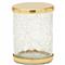 Pigeon and Poodle Pomaria Hollywood Gold Accent Clear Glass Canister - Small|Kathy Kuo Home