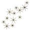 Dwell Studio Mid Century Brass Star Wall Sculptures - Set of 12|Kathy Kuo Home