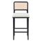 Vin Coastal White Upholstered Cushion Natural Woven Cane Black Wood Counter Stool|Kathy Kuo Home