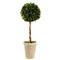 Marin French Country Green Boxwood Single Sphere Topiary - Small|Kathy Kuo Home