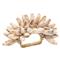 Pompeii Shell Fringe Coastal Natural Seashells Napkin Ring - Set of 4|Kathy Kuo Home