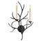 Visual Comfort Branch Rustic Lodge Aged Iron Sconce|Kathy Kuo Home