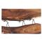 Fay Rustic Lodge Natural Chamcha Wood Wall Sculpture|Kathy Kuo Home