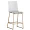 King Modern Clear Acrylic Seat Antique Gold Base Counter Stool|Kathy Kuo Home