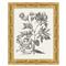 Amanda French Black Floral &amp; Botanical Gold Frame Illustration 2 - 11x9|Kathy Kuo Home