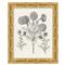 Amanda French Black Floral &amp; Botanical Gold Frame Illustration 6 - 11x9|Kathy Kuo Home