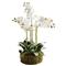 Angel French Country White Phalaenopsis Orchid Bowl Drop In Faux Floral|Kathy Kuo Home