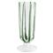 Nuovo Stripe Modern Classic Green Champagne Glass|Kathy Kuo Home