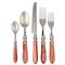 Aladdin Brilliant  Rust Acrylic 5 Piece Flatware Place Setting|Kathy Kuo Home