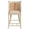 Aspyn Coastal Beige Performance Cane Counter Stool|Kathy Kuo Home