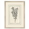 Gael Traditional Green Botanical Silver Frame Illustration 1 - 39x29