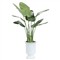 John-Richard Island French Country Green Bird Of Paradise Faux Floral Planter|Kathy Kuo Home