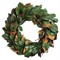 Louisa Updated Traditional Green Magnolia Wreath