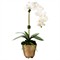 Ariela  Updated Traditional White Orchid Gold Vase Faux Floral Arrangement|Kathy Kuo Home