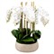 Bree Updated Traditional White Orchid Faux Floral Arrangement|Kathy Kuo Home