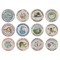 Coraline Coastal Multicolor Stoneware Hotel Restaurant Plate - Set of 12|Kathy Kuo Home