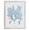 Gale Coastal Beach Blue Coral White Frame Illustration - 20x16|Kathy Kuo Home