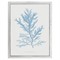 Iris Coastal Beach Blue Coral White Frame Illustration - 20x16|Kathy Kuo Home