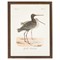 Serein Traditional Brown Redshank Bird Antique Gold Frame Painting - 16x12|Kathy Kuo Home