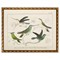 Meridee Traditional Green Hummingbird Gold Frame Illustration - 12x16|Kathy Kuo Home