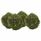 Galen Updated Traditional Green Faux Rattan Moss Ball - Set of 4|Kathy Kuo Home