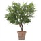 Amara French Country Green Faux Locust Potted Tree|Kathy Kuo Home