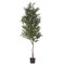 Bridger Modern Classic Green Faux Olive Potted Tree|Kathy Kuo Home