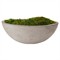 Caelan Updated Traditional Green Preserved Mood Moss|Kathy Kuo Home