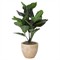 Adalyn Updated Traditional Green Faux Fiddle Leaf Fig Tree|Kathy Kuo Home
