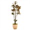 Bastian Updated Traditional Green Faux Magnolia Potted Tree|Kathy Kuo Home