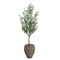 John Richard Italian Updated Traditional Green Olive Tree Brown Ceramic Pot|Kathy Kuo Home