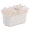John-Richard Budir Coastal White Quartz Selenite Crystal Encrusted Box|Kathy Kuo Home