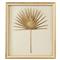 John-Richard Palmetto Frond II Nature Gold Frame Mixed Media|Kathy Kuo Home