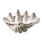 Large Decorative 21 Inch Coastal Beach White Clam Shell Bowl|Kathy Kuo Home