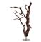 Kazu Root Mangrove Tree Iron Floor Sculpture|Kathy Kuo Home