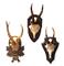 Alsace Hunt Club Reproduction Antler Wall Mount Trophy- Set of 3|Kathy Kuo Home