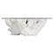 Sylvia Coastal Beach White Tree Stump Round Coffee Table