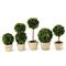 Marin French Country Green Boxwood Potted Mini Topiaries - Set of 5|Kathy Kuo Home