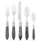 Aladdin Brilliant Modern Black Acrylic 5 Piece Flatware Place Setting|Kathy Kuo Home