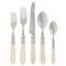 Aladdin Brilliant Modern Cream Acrylic 5 Piece Flatware Place Setting|Kathy Kuo Home
