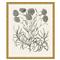 Amanda French Country Black Floral &amp; Botanical Gold Frame Illustration 14|Kathy Kuo Home