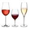 Cheers Modern Classic Clear Crystal Aperitif Glass - Set of 3|Kathy Kuo Home